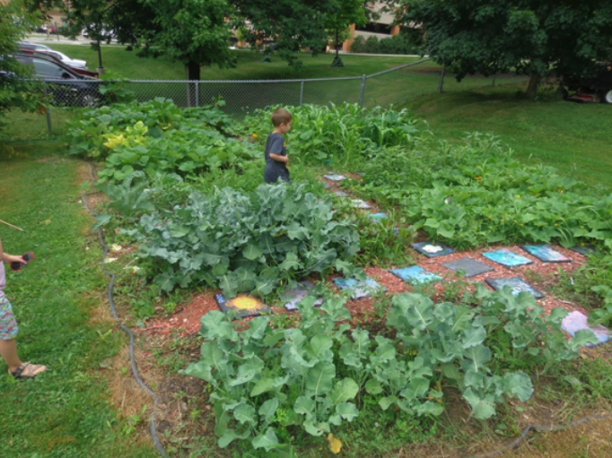 Boy walking through Waisman Early Childhood Program garden. Green plants and stepping stones.