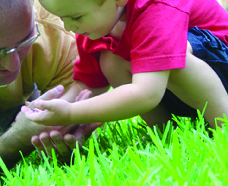 grandfathre with grandson looking at insect in grass page 33