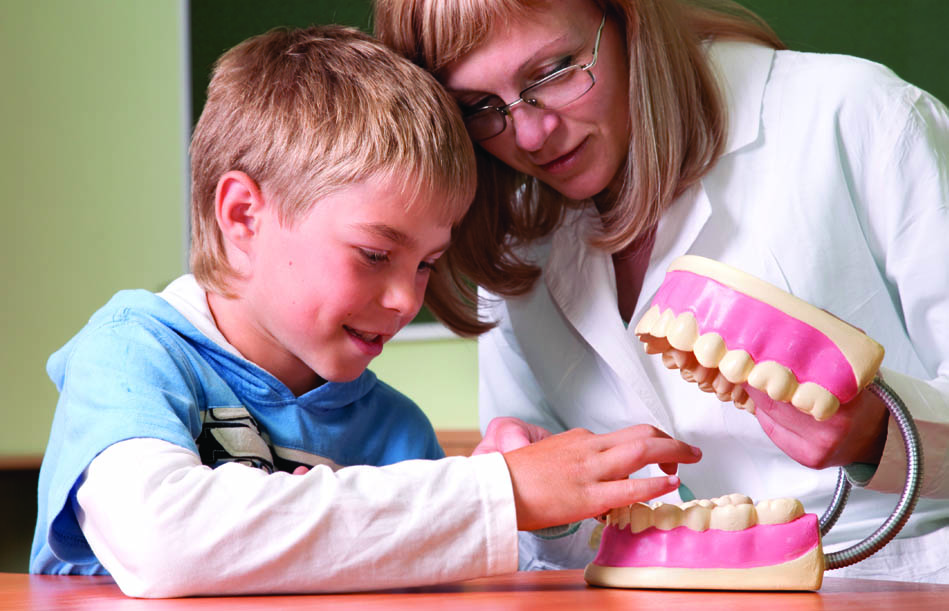 boy looking at model of teeth