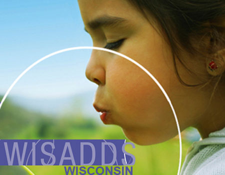 Wisconsin Surveillance of Autism and Other Developmental Disabilities photo on website