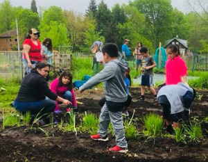 Community Solutions for Health Equity
