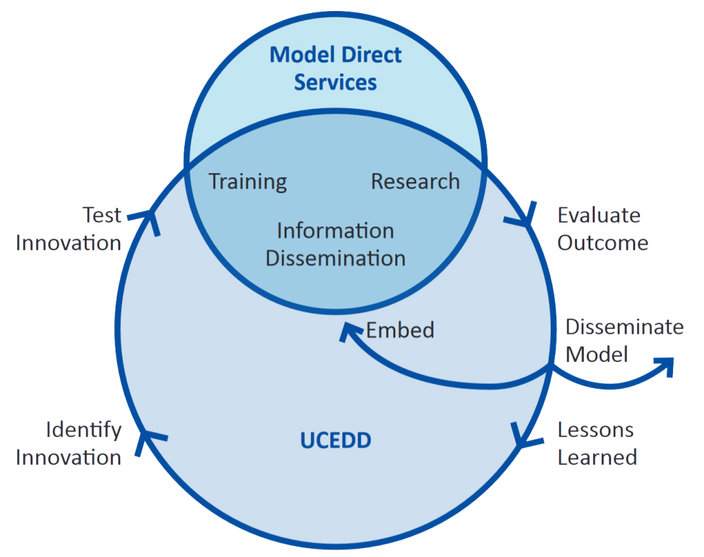 Model Direct Services graphic